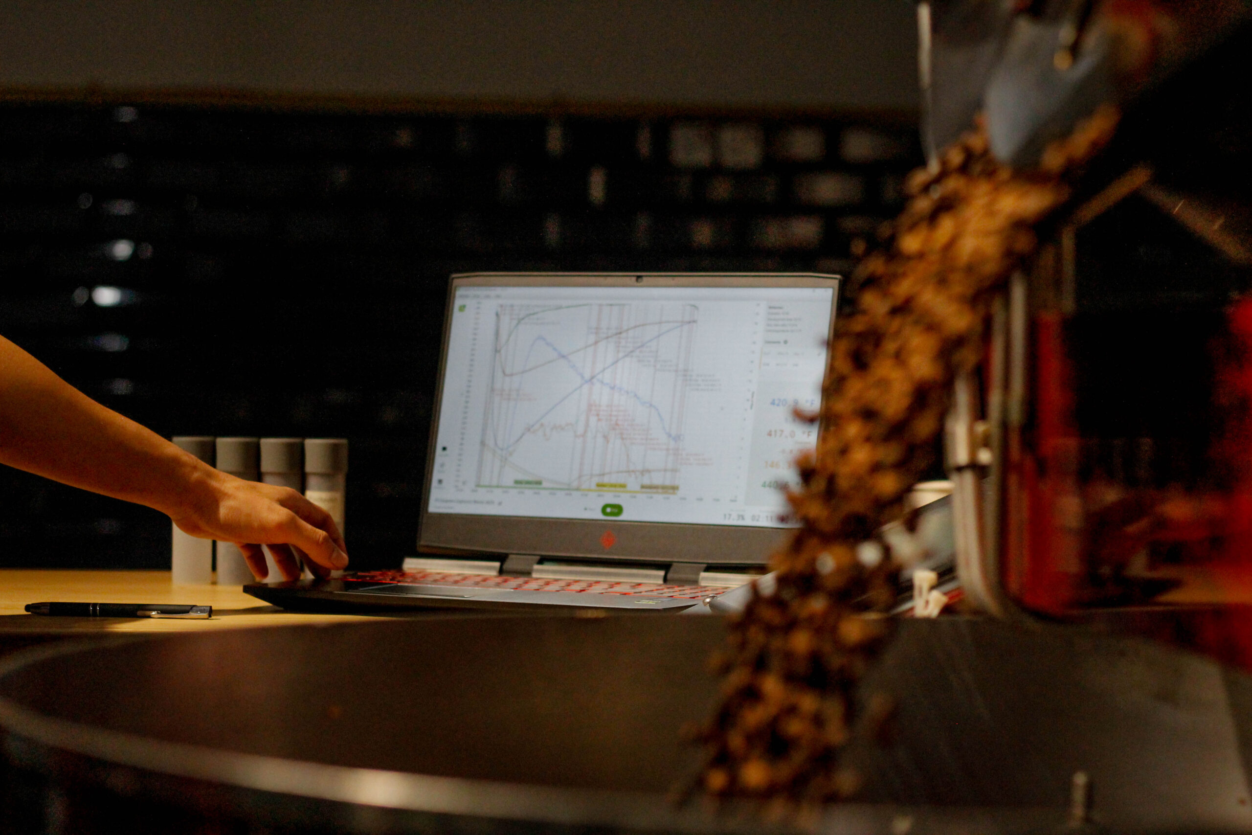 Roast Profiling Software